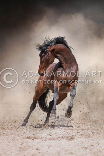 full body, movement, painterly-background, bay-horse