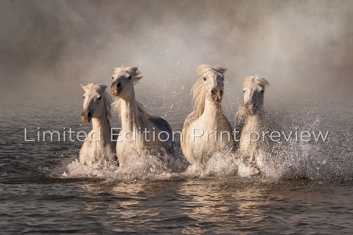 Kelpies of Camargue | kelpies-limited_preview.jpg