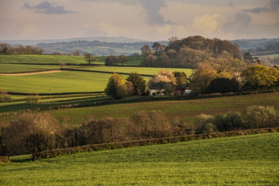 Somerset and Devon landscapes