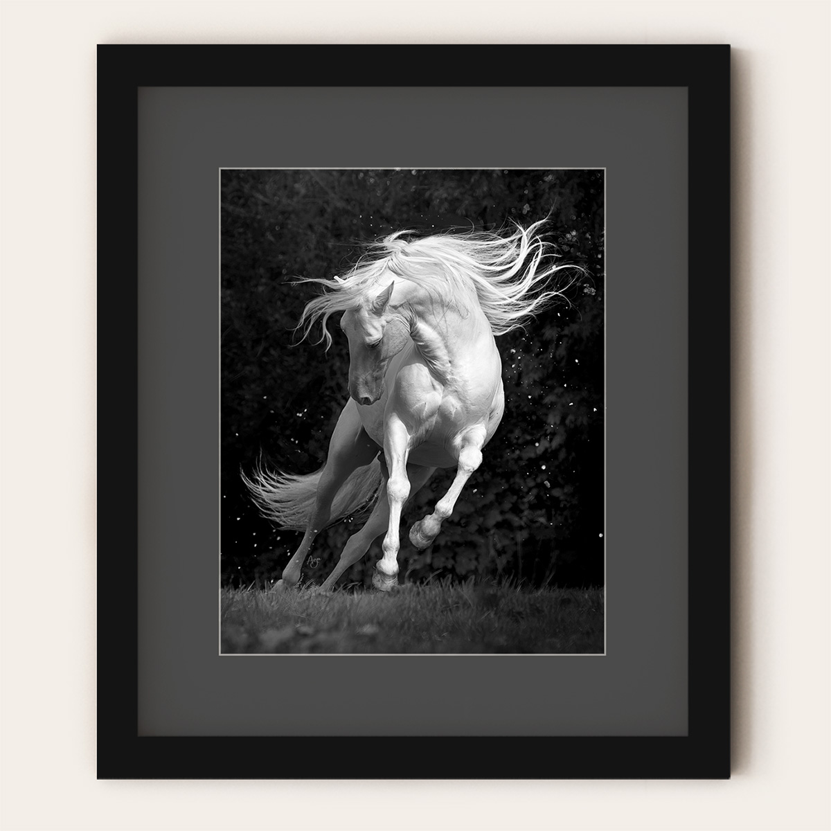 Framed Prints - Special Offer! | framed_silver_dancer.jpg