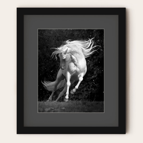 Framed Prints - Special Offer!