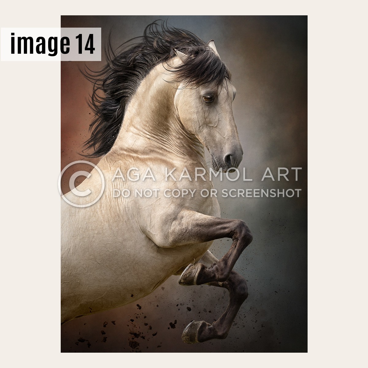 Framed Prints - Special Offer! | image14.jpg