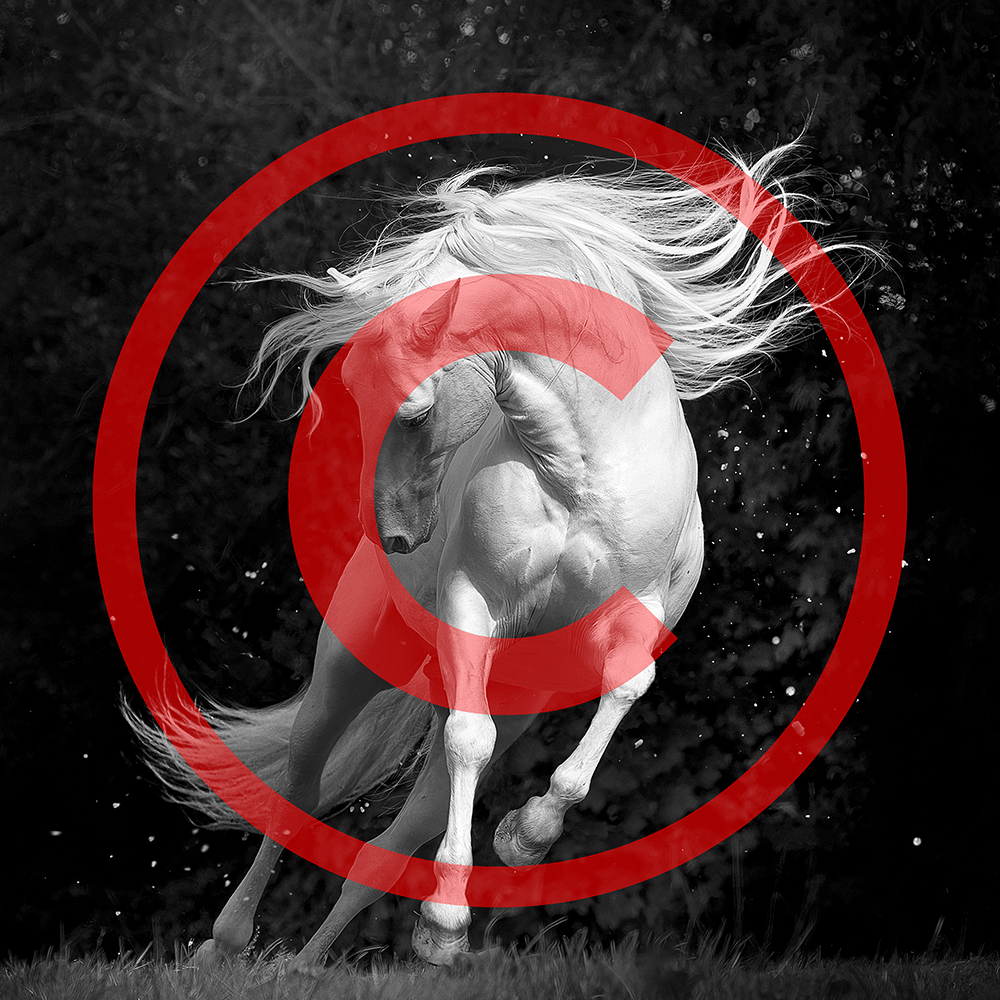 Art Reference - Extended Licence for Artists | silver_dancer_square_copyrighted.png