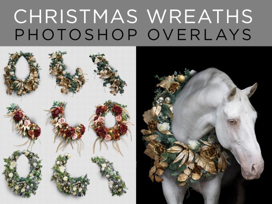 Christmas Wreaths Overlays