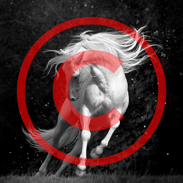 silver dancer square copyrighted.png