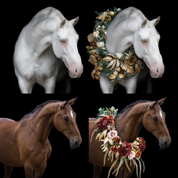 editing pack square preview photo.jpg