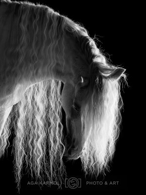220618-ER5_5452-bw.jpg