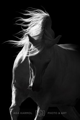 220910-brave_enough.jpg
