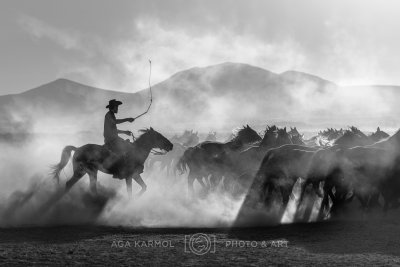 240928-15-R5M21039-bw.jpg